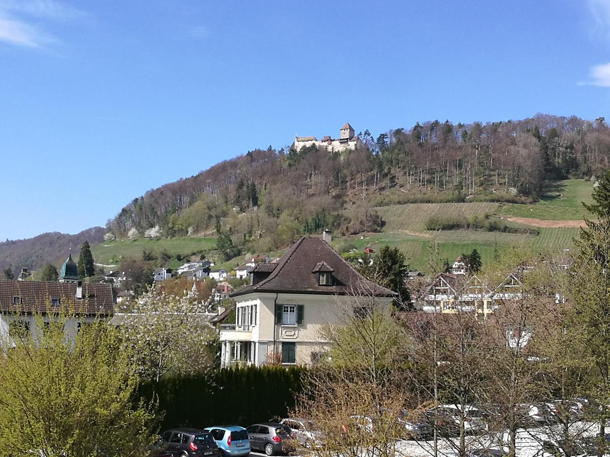 Garni-Hotel Muehletal ชไตน์ อัม ไรน์ ภายนอก รูปภาพ