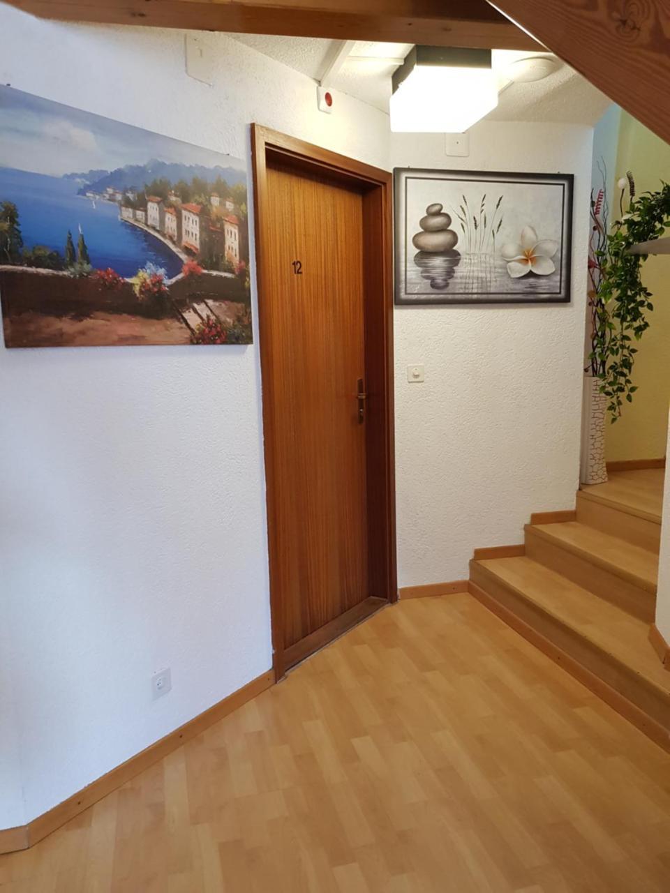 Garni-Hotel Muehletal ชไตน์ อัม ไรน์ ภายนอก รูปภาพ