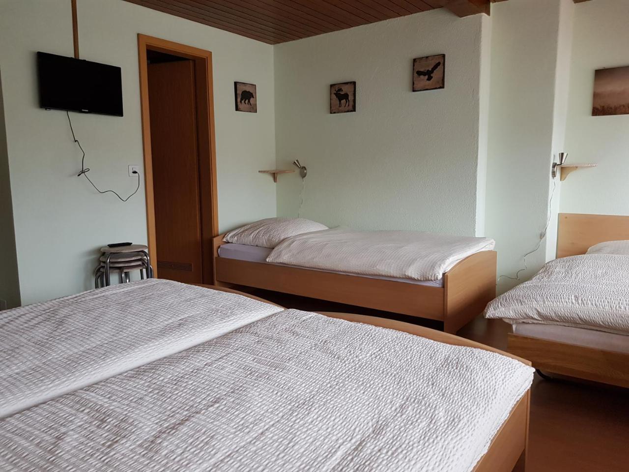 Garni-Hotel Muehletal ชไตน์ อัม ไรน์ ภายนอก รูปภาพ