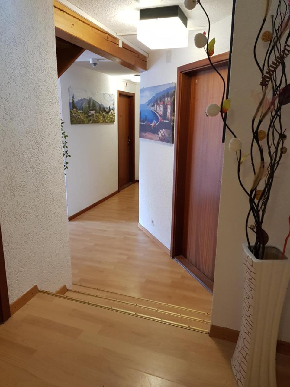 Garni-Hotel Muehletal ชไตน์ อัม ไรน์ ภายนอก รูปภาพ