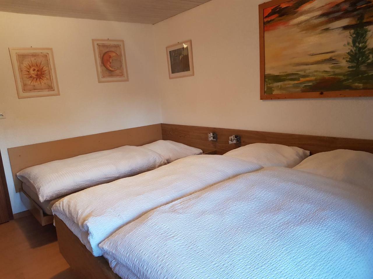 Garni-Hotel Muehletal ชไตน์ อัม ไรน์ ภายนอก รูปภาพ