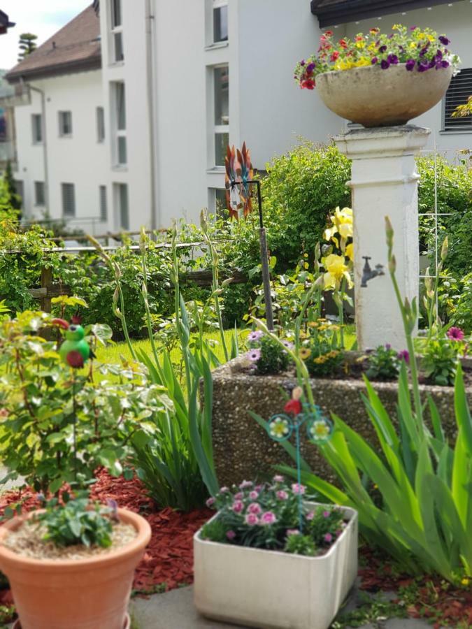 Garni-Hotel Muehletal ชไตน์ อัม ไรน์ ภายนอก รูปภาพ