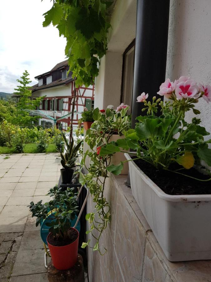 Garni-Hotel Muehletal ชไตน์ อัม ไรน์ ภายนอก รูปภาพ